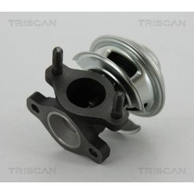 AGR-Ventil für HYUNDAI von TRISCAN