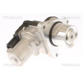 AGR-Ventil 8813 43010 von TRISCAN günstig für 232,32 € online kaufen
