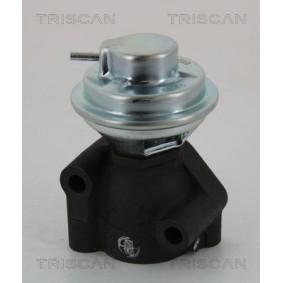 Compre Válvula EGR de TRISCAN online para K2500 (SD) a precios moderados