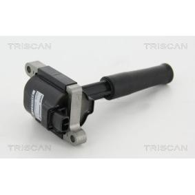 Zündspule 8860 10031 von TRISCAN günstig für 210,70 € online kaufen