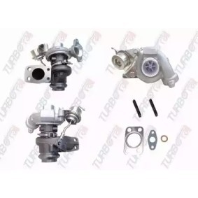 Achetez des Turbocompresseur TURBORAIL 900-00008-000 à prix pour 427,13 €