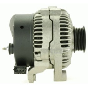 Lichtmaschine 9041160 von ROTOVIS Automotive Electrics günstig für 107,94 € online kaufen