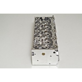 Zylinderkopf von AMC für XM Break (Y3) günstig online kaufen