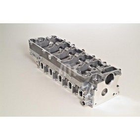 Zylinderkopf von AMC für Discovery II (L318) günstig online kaufen