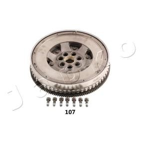 Schwungrad 91107 von JAPKO günstig für 1001,61 € online kaufen
