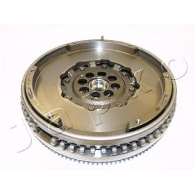 Schwungrad 91K01 von JAPKO günstig für 1082,47 € online kaufen