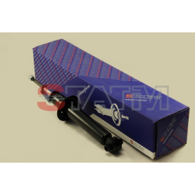 Acquista Ammortizzatore da STATIM A.306 a buon mercato per soli 22,60 €