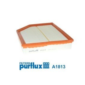 Køb Luftfilter af PURFLUX A1813 til den lave pris 144,45 DKK