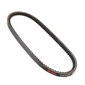 Keilriemen AVX-10X600-PCS-MS von MASTER-SPORT günstig für 3,32 € online kaufen