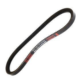 Keilriemen AVX-13X710-PCS-MS von MASTER-SPORT günstig für 2,80 € online kaufen