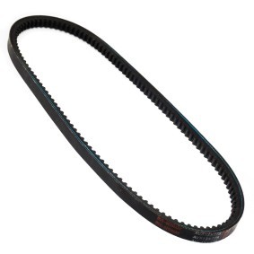 Keilriemen AVX-13X775-PCS-MS von MASTER-SPORT günstig für 5,46 € online kaufen