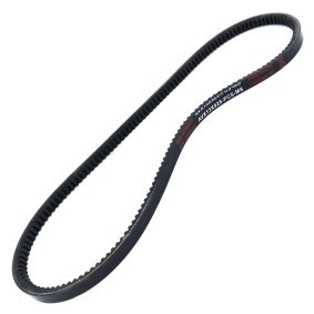 Keilriemen AVX-13X925-PCS-MS von MASTER-SPORT günstig für 5,72 € online kaufen
