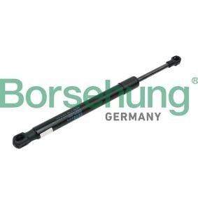 Heckklappendämpfer von Borsehung