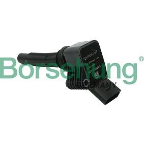 Köp Tändspole av Borsehung B15118 till det låga priset 632,44 kr