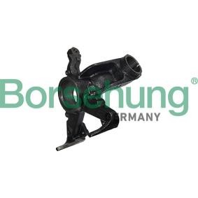 Achsschenkel des Herstellers Borsehung - Originalware Artikelnummer: B17942
