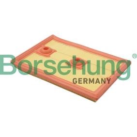 Køb Luftfilter af Borsehung B18013 til den lave pris 153,26 DKK