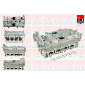 Zylinderkopf für RENAULT von FAI AutoParts