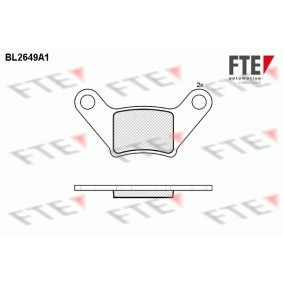 Bremsbeläge für PIAGGIO von FTE