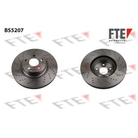 Bremsscheiben des Herstellers FTE - Originalware Artikelnummer: BS5207