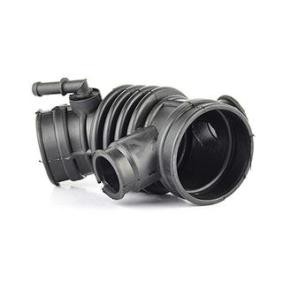 Compre Tubo flexível de admissão, filtro de ar da BSG BSG 16-705-014 a um preço baixo por 65,35 €