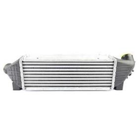 Kjøp Intercooler av BSG BSG 30-535-001 til den lave prisen 2261,94 NOK