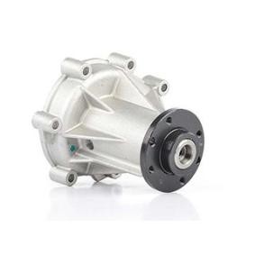 Wasserpumpe BSG 60-500-001 von BSG günstig für 58,36 € online kaufen