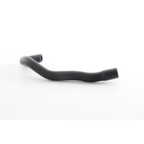 Compre Tubo flexível de admissão, filtro de ar da BSG BSG 65-720-067 a um preço baixo por 37,43 €