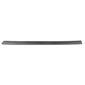 Zierleiste für die Tür BSG 65-925-025 von BSG günstig für 57,29 € online kaufen