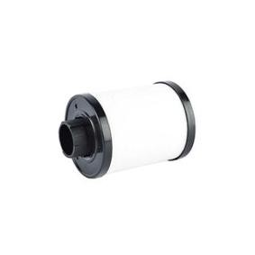 Compre Filtro de combustível da BSG BSG 70-130-002 a um preço baixo por 35,02 €