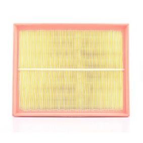 Køb Luftfilter af BSG BSG 90-135-017 til den lave pris 299,54 DKK