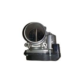 Drosselklappe des Herstellers BUGIAD - Originalware Artikelnummer: BSP24999