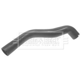Ladeluftschlauch BTH1036 von BORG & BECK günstig für 25,95 € online kaufen