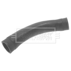 Ladeluftschlauch BTH1117 von BORG & BECK günstig für 13,53 € online kaufen