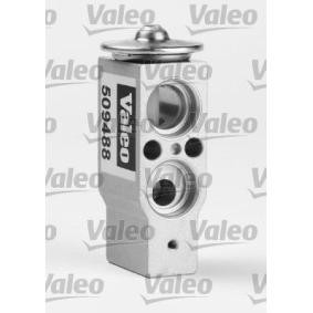 Acquista Valvola espansione climatizzatore da VALEO online per Y10 (156) a prezzi moderati