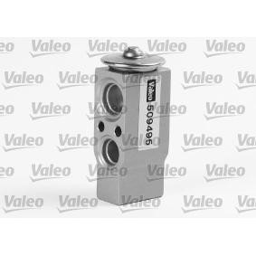 Compre Válvula de expansão, ar condicionado da VALEO 509495 a um preço baixo por 80,40 €