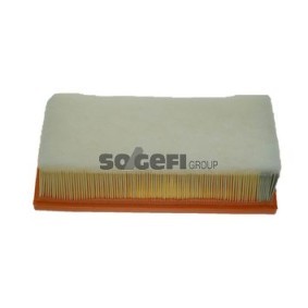 Luftfilter CA10224 von FRAM günstig für 56,24 € online kaufen