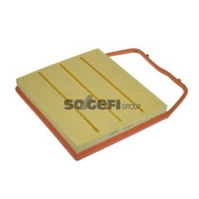 Luftfilter CA10676 von FRAM günstig für 66,29 € online kaufen
