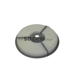 Luftfilter für SUZUKI von FRAM