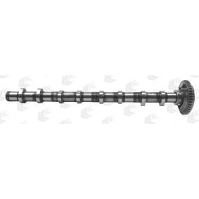 Nockenwelle CAM977 von AE günstig für 326,88 € online kaufen
