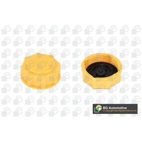 Köp Lock till expansionskärl av BGA CC3045 till det låga priset 81,40 kr
