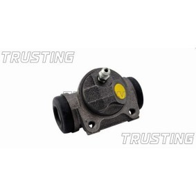 Osta Jarrusylinteri TRUSTING:llä CF148 edullisesti hintaan 26,42 €