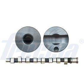 Nockenwelle CM05-2255 von FRECCIA günstig für 194,78 € online kaufen