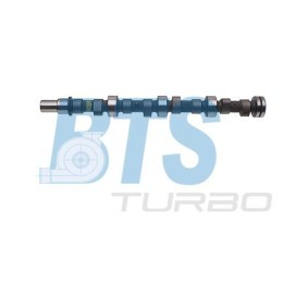 Acquista Albero a camme da BTS TURBO online per Classe S Sedan (W116) a prezzi moderati