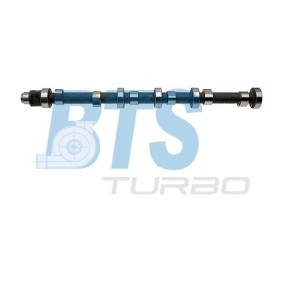 Acquista Albero a camme da BTS TURBO online per Classe S Sedan (W116) a prezzi moderati