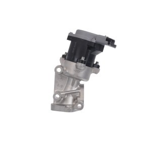 Acquista Valvola EGR da VALEO 700411 a buon mercato per soli 280,28 €