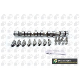 Nockenwellensatz CS1454FK von BGA günstig für 283,58 € online kaufen