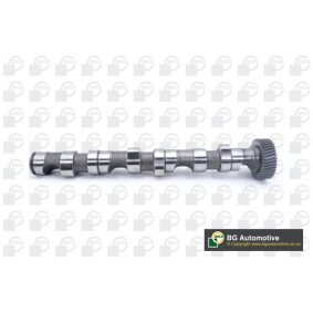 Comprar Árbol de levas de BGA CS1523 a bajo precio de 123,72 €