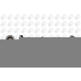 Comprar Árbol de levas de BGA CS1527 a bajo precio de 183,05 €