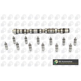 Nockenwellensatz CS2700K von BGA günstig für 332,38 € online kaufen