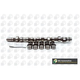 Comprar Kit de árbol de levas de BGA CS3381K a bajo precio de 228,32 €